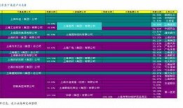 比例投注策略最新爆料,最新爆料揭示盈利秘诀