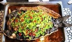 安阳爆料买鱼坑人视频最新,视频曝光惊人内幕